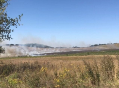 Прямо сейчас! В Варваровке под Анапой горит поле