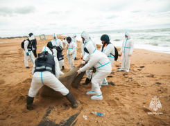 Спасатели МЧС обследовали 400 метров пляжа на Бугазской косе: мазута нет