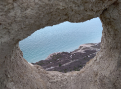 Кто выиграет входной билет с дегустацией? Успей подать заявку на конкурс