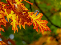 Сегодня, 21 сентября, в Анапе будет +15