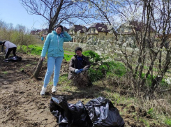 В лесополосах Анапского района сделали большую уборку