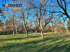 В День «давайте смеяться» в Анапе будет солнечно и тепло