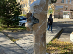 Новость о паркоматах вызвала среди анапчан бурю негодования