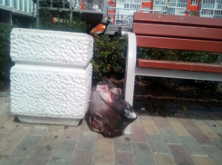 Анапчанка Елена Дмитриева возмущена людьми, бросающими пакеты  с мусором где попало