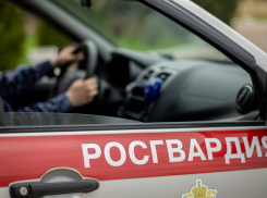 В Анапе буйный мужчина объяснил свой побег от Росгвардии «увлечением бегом»