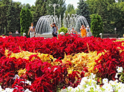 Что изменилось за последний год в Анапе