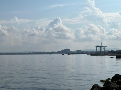 Во Всемирный день льва в Анапе возможен дождь