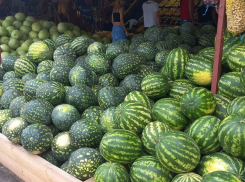 Стали известны места размещения придорожных ярмарок в Анапе