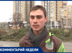  В Анапе начали переработку деревьев, поваленных ветром