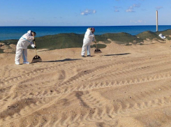 Выбросы мазута сокращаются 