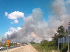 Рекультивацию свалки в хуторе Красный под Анапой вынесли на публичные слушания