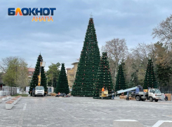 Елочка-елка – лесной аромат: в Анапе начали устанавливать зеленую красавицу