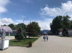 В День здорового питания в Анапе солнца будет немного