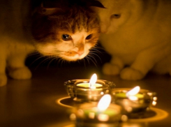 Света не будет весь день!