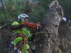 Ураган и ливень оставили без света более 6000 человек в Анапе и районе