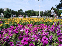 «Мы с женой очарованы Анапой»-из письма читателя «Блокнота»