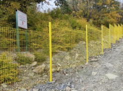 Первый заповедный кордон начали устанавливать на Малом Утрише под Анапой