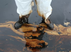 13 млн рублей выделили на предотвращение разливов нефти в портах Анапы, Новороссийска и Геленджика