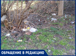 «Сквер возле 5-й школы превратили в «отхожее место» – жители улицы Крымской