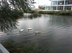 В День осенних миражей в Анапе возможны небольшие дожди