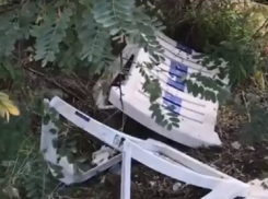 Видео с заваленным мусором берегом Анапы возмутило россиян