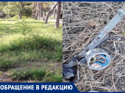 Жуткий мусор и страшная аллергия: анапчане жалуются на состояние Пионерского проспекта