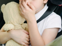 Скандал в Анапе: мнения людей разделились. Кто прав: пассажир или водитель маршрутки?