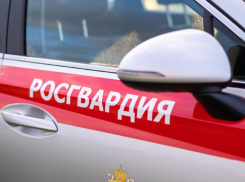 Росгвардия Анапы задержала преступника в федеральном розыске