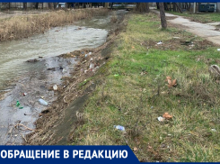 «Никаких результатов»: анапчанка о бездействии служб в уборке территории у реки «Можепсин» 