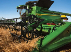 В Анапе приступи к уборке озимых культур