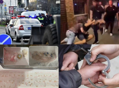 Мошенники из ОПГ и горящая свалка – чем анапчанам запомнилась уходящая неделя