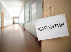 Девять анапчан, вернувшихся из Китая, Кореи и Италии находятся на домашнем карантине