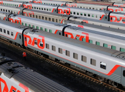 Из поезда едва не выкинули 9-месячную девочку