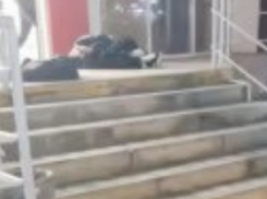 В Анапе конфликт в магазине «Магнит» перерос в драку