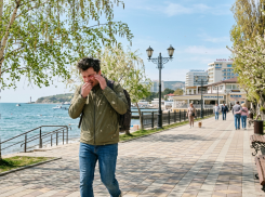 Аллергия в Анапе весной: что цветёт в марте–апреле и как защититься