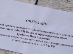 На Кубани опечатали 800 предприятий, в том числе и в Анапе