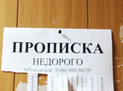 За фиктивную прописку анапчанке может грозить до трех лет лишения свободы