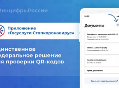 Анапчане могут проверить подлинность QR-кода через мобильное приложение