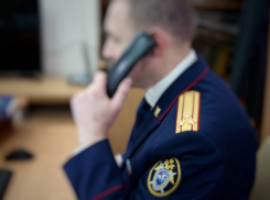 Анапчанам напоминают: в следственном управлении работает телефонная линия «Ребенок в опасности»