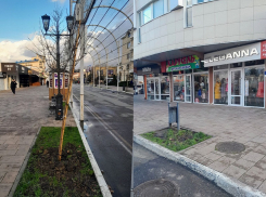 Озеленение по-анапски: на улице Горького в Анапе 12 клёнов и пустота