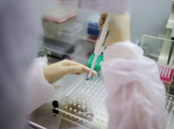 В Анапе выявили шесть случаев коронавируса. Сводка на 12 апреля