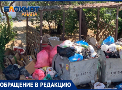 «С приходом «Экотехпрома» Анапа превратилась в помойку»: анапчанка призывает ввести штрафные санкции