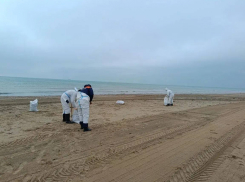 В Анапе экстренно очистили пляжи от нового мазута