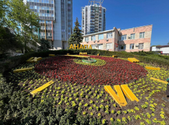 В Анапе к курортному сезону высадят более 100 тысяч цветов