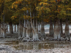Кипарисовое озеро под Анапой снова без воды