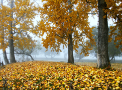 17 сентября в Анапе до +27