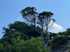 В день российского кино в Анапе солнечно