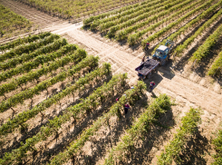 Как будет проходить курортный сезон в Анапе 