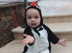 Пингвиненок Пороро