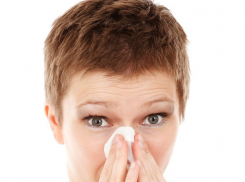 Три города Кубани стали самыми зараженными за сутки. Это Краснодар, Сочи и Анапа